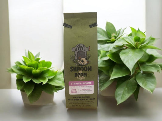 *Ethopia Sidama - Mushroom Extract